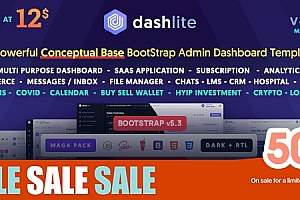DashLite-引导响应式管理面板模板