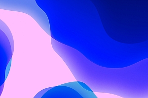 排序算法的基本操作